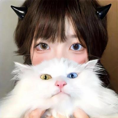 荒野迷案